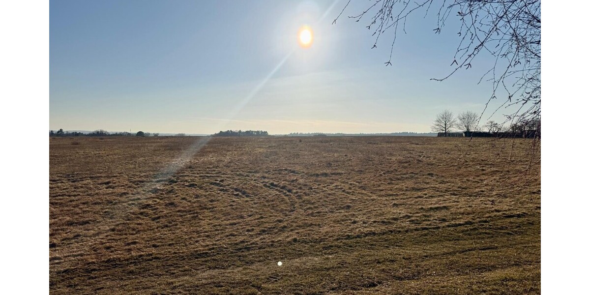 Ausblick Garten