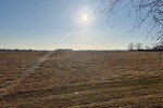 HORN IMMOBILIEN++ 15 km bis Neubrandenburg, schöne Doppelhaushälfte mit großen Grundstück & 2 Garagen - Doppelhaushälfte Bassow Bassow | Angebot:26855373