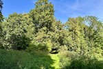 HORN IMMOBILIEN Denkmalgeschütztes Wohnhaus mit historischem Pferdestall, Breesen bei Neubrandenburg - Einfamilienhaus Breesen / Schwandt Schwandt | Angebot:27512083