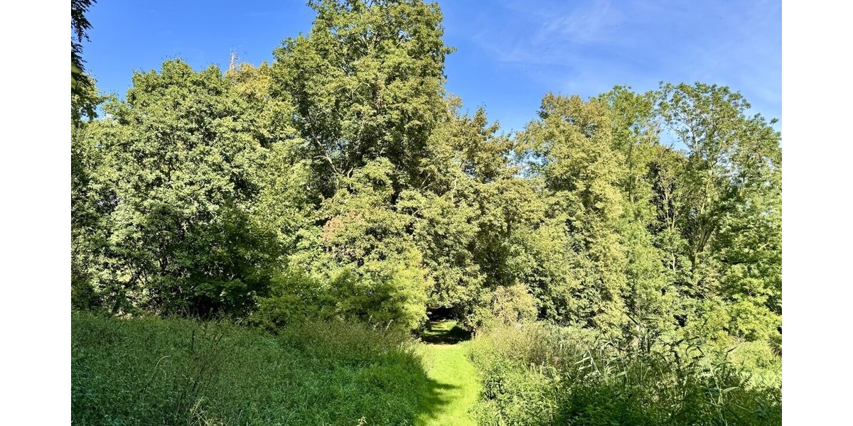 Umgebung