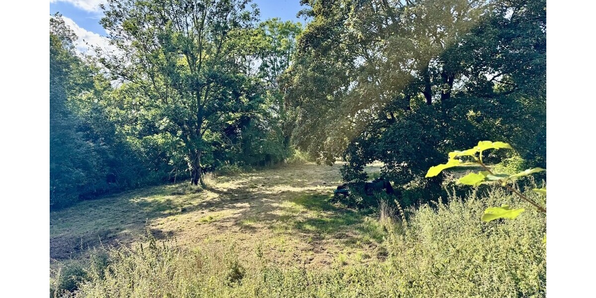 Umgebung