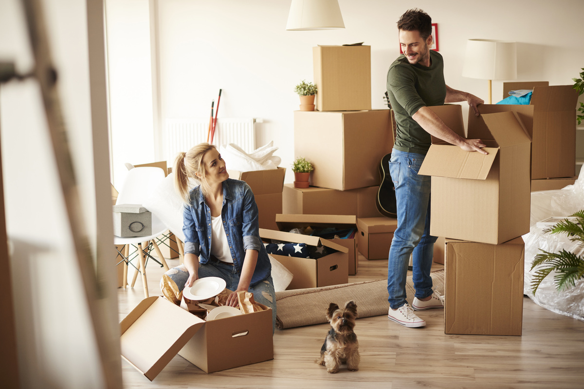 Umzug & Formalitäten in Neubrandenburg – Checklisten, Tipps und Services