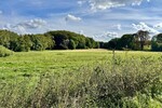 HORN IMMOBILIEN Denkmalgeschütztes Wohnhaus mit historischem Pferdestall, Breesen bei Neubrandenburg - Einfamilienhaus Breesen / Schwandt Schwandt | Angebot:27512083