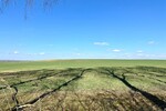 HORN IMMOBILIEN ++ Einfamilienhaus mit vielen Extras in Güterberg bei Strasburg, ruhige Lage! - Einfamilienhaus Uckerland / Güterberg Güterberg | Angebot:26225621