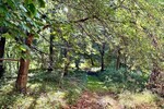 HORN IMMOBILIEN Denkmalgeschütztes Wohnhaus mit historischem Pferdestall, Breesen bei Neubrandenburg - Einfamilienhaus Breesen / Schwandt Schwandt | Angebot:27512083